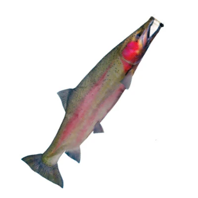 36 Inch Trout Fish Windsock 3 36 Inch Trout Fish Windsock