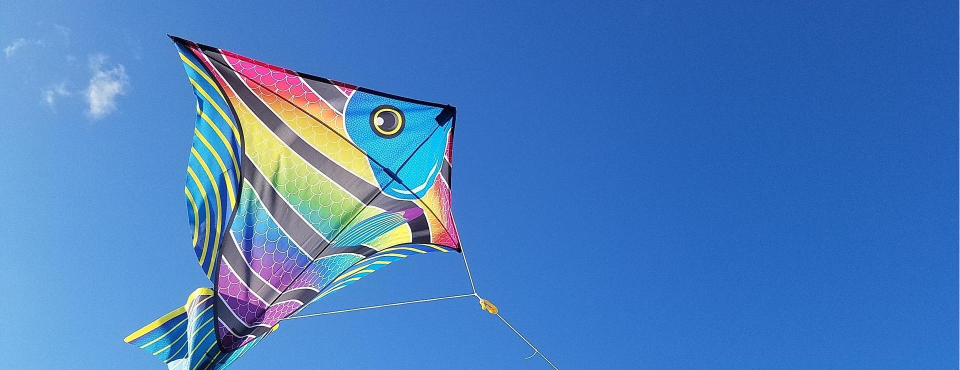 Outdoor Kite Shop -Outdoor Kite Shop kite 2160948 1920