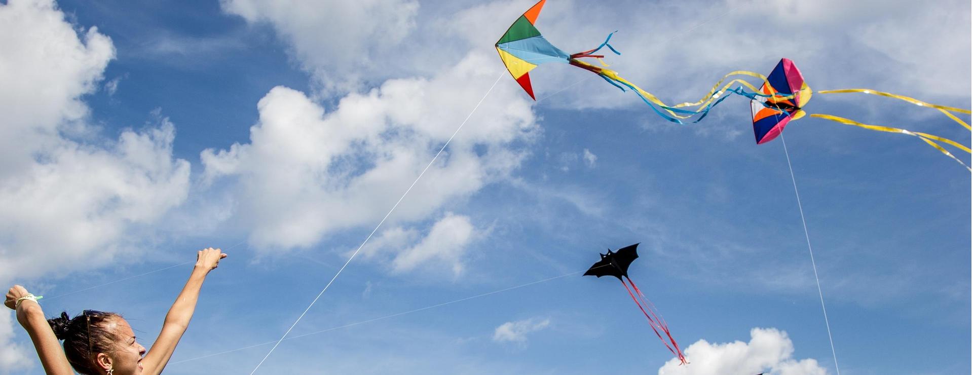 Outdoor Kite Shop -Outdoor Kite Shop kite 2173917 1920